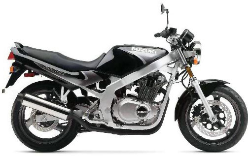 Download Suzuki Gs500e repair manual